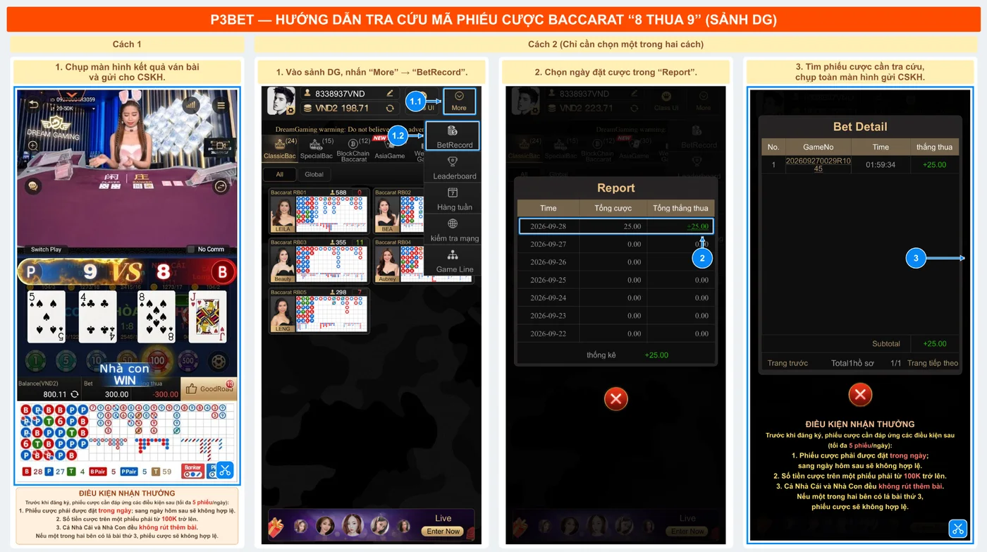 Hướng dẫn tra cứu phiếu cược Baccarat sảnh DG